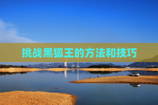 挑战黑狐王的方法和技巧