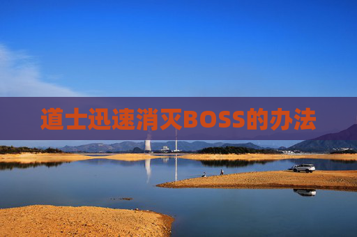 道士迅速消灭BOSS的办法