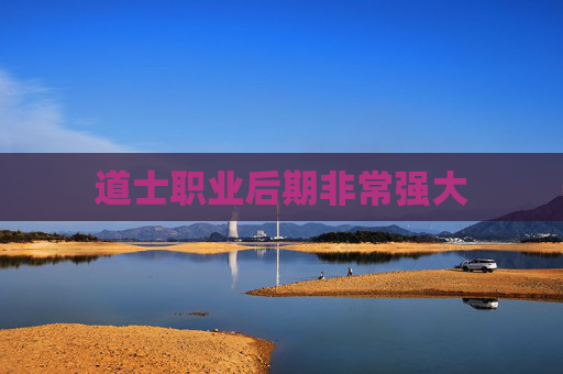 道士职业后期非常强大