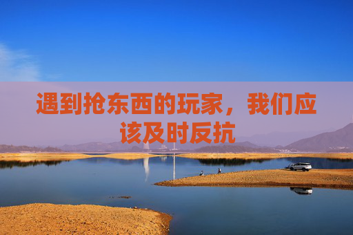 遇到抢东西的玩家，我们应该及时反抗