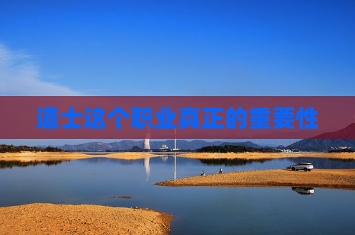 道士这个职业真正的重要性