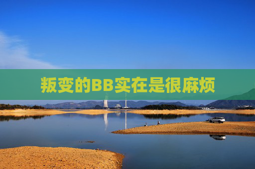叛变的BB实在是很麻烦
