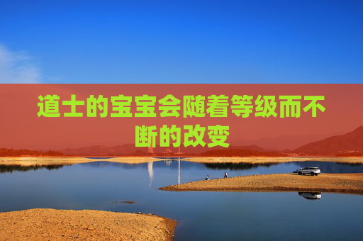 道士的宝宝会随着等级而不断的改变