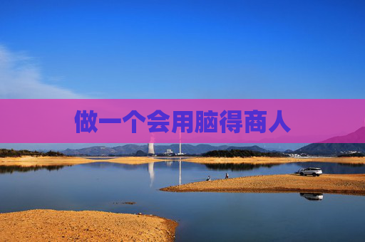 做一个会用脑得商人