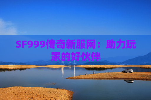 SF999传奇新服网：助力玩家的好伙伴