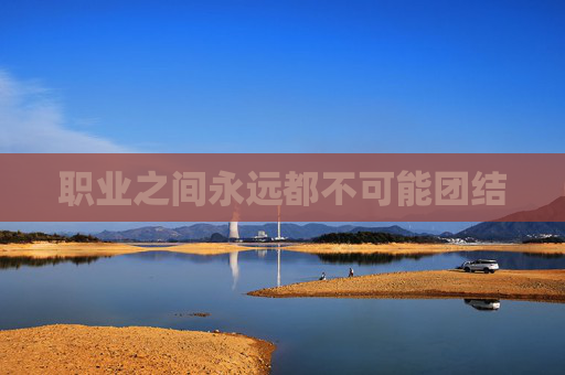 职业之间永远都不可能团结