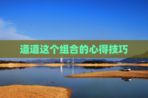 道道这个组合的心得技巧