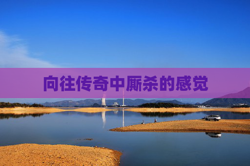 向往传奇中厮杀的感觉